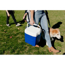 (Promo) Igloo Laguna 12