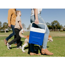 (Promo) Igloo Laguna 12