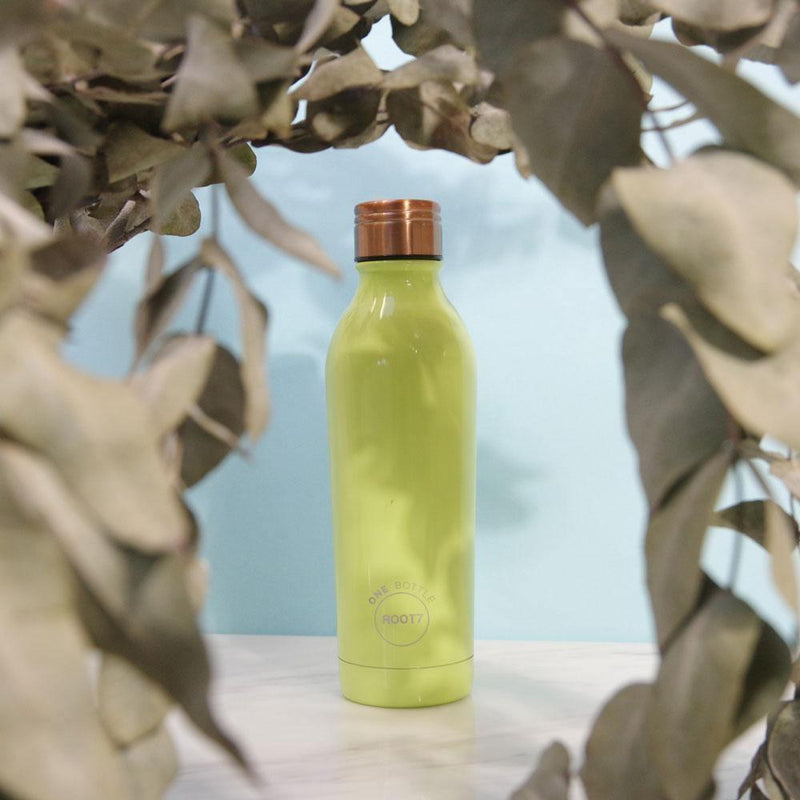 (Clearance) Root7 OneBottle® Avocado Green Double-Walled Stainless Steel Water Bottle 500ml - Oribags.com