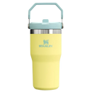 [Engraving Available] Stanley The IceFlow™ Flip Straw Tumbler | 20 OZ