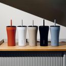 Sttoke 20oz Leakproof Straw Cup & FREE Matching Straw Tip