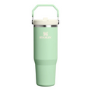 [Engraving Available] Stanley IceFlow Flip Straw Tumbler - 30oz 2.0