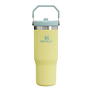 [Engraving Available] Stanley IceFlow Flip Straw Tumbler - 30oz 2.0