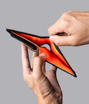 Alpaka ARK Bifold Coin Wallet