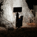 Nestout FLASH-1 LED Light