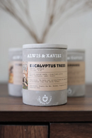 Alwis & Xavier Eucalyptus Trees - Soy Wax Candle