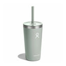 (Markdown) Hydro Flask 20 oz All Around™ Tumbler with Straw Lid