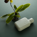 A7 memobottle (Stainless Steel) - Pistachio 8 oz / 250 ml