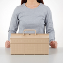 TOYO Cantilever Toolbox ST-350