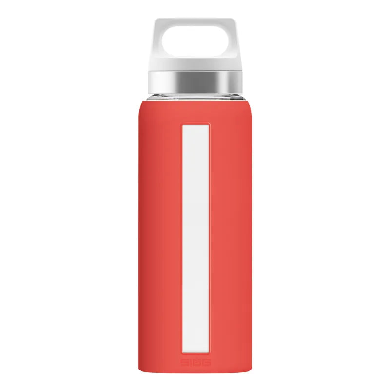 Sigg Water Bottle Dream 0.65L