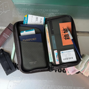 Pioneer Carry Co-Pilot Travel Wallet