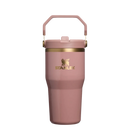Stanley The IceFlow® Flip Straw Tumbler 2.0 | 20 OZ | Fall Collection