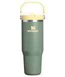 [Engraving Available] Stanley IceFlow Flip Straw Tumbler - 30oz 2.0