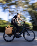 Thule Chasm Tote For Bike With InLock | 25L
