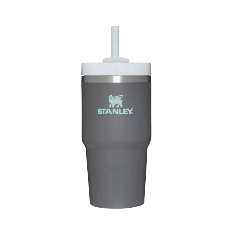 Stanley Adventure Quencher 2.0 Tumbler 20oz - Oribags.com