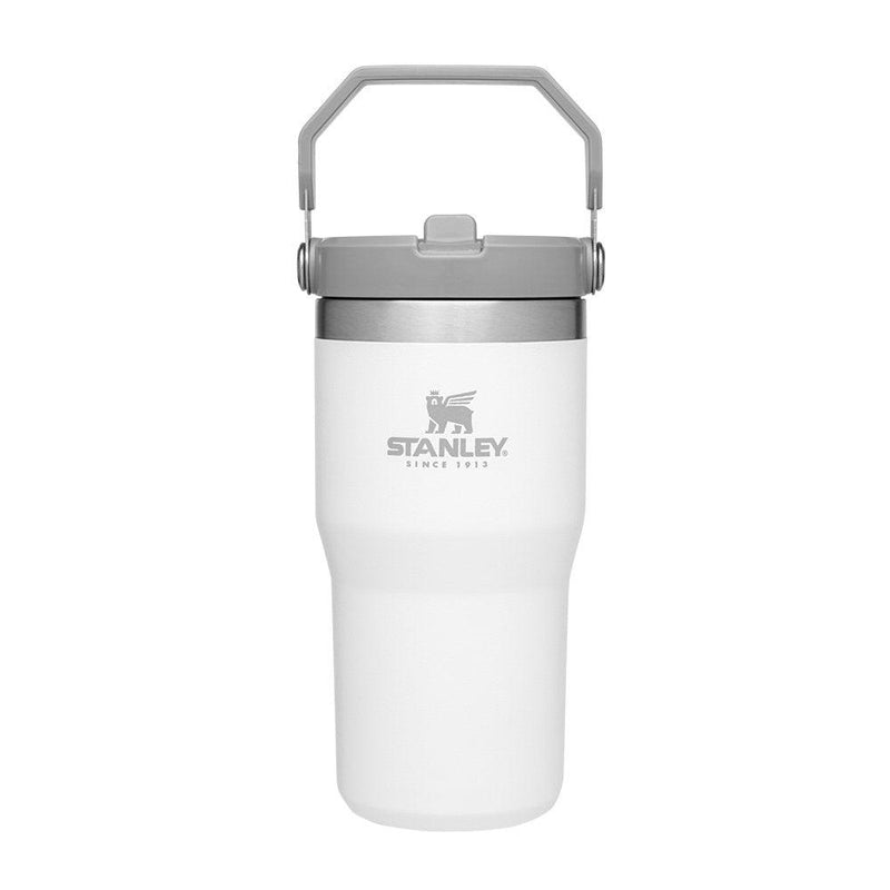 Stanley Iceflow Flip Straw Jug 20oz - Oribags.com