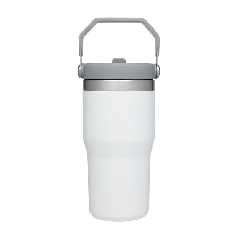 Stanley Iceflow Flip Straw Jug 20oz - Oribags.com