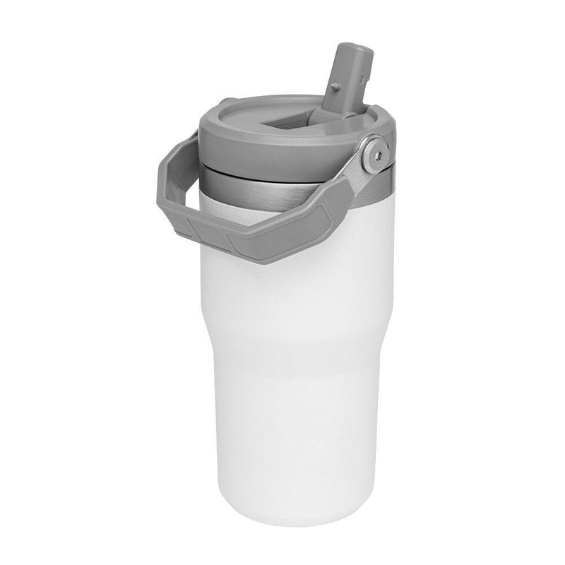 Stanley Iceflow Flip Straw Jug 20oz - Oribags.com