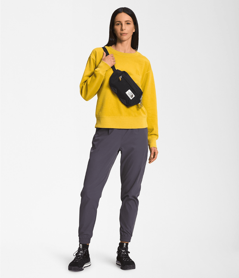The North Face Berkeley Lumbar Bag - Oribags